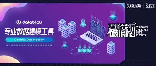 Datablau DDM 賦能大數(shù)據(jù)服務的專業(yè)數(shù)據(jù)建模工具